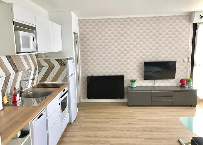 Appartement T2 De 40M2 Refait A Neuf Pour Vous ! Climatise