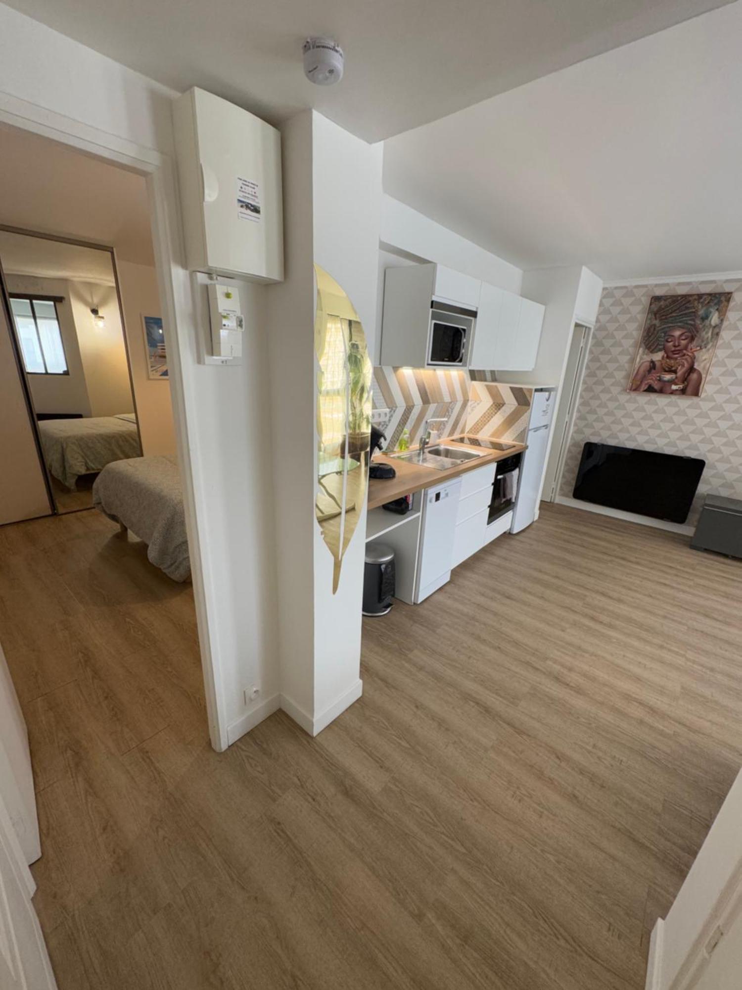 Appartement T2 De 40m2 Refait à Neuf Pour Vous ! Climatisé